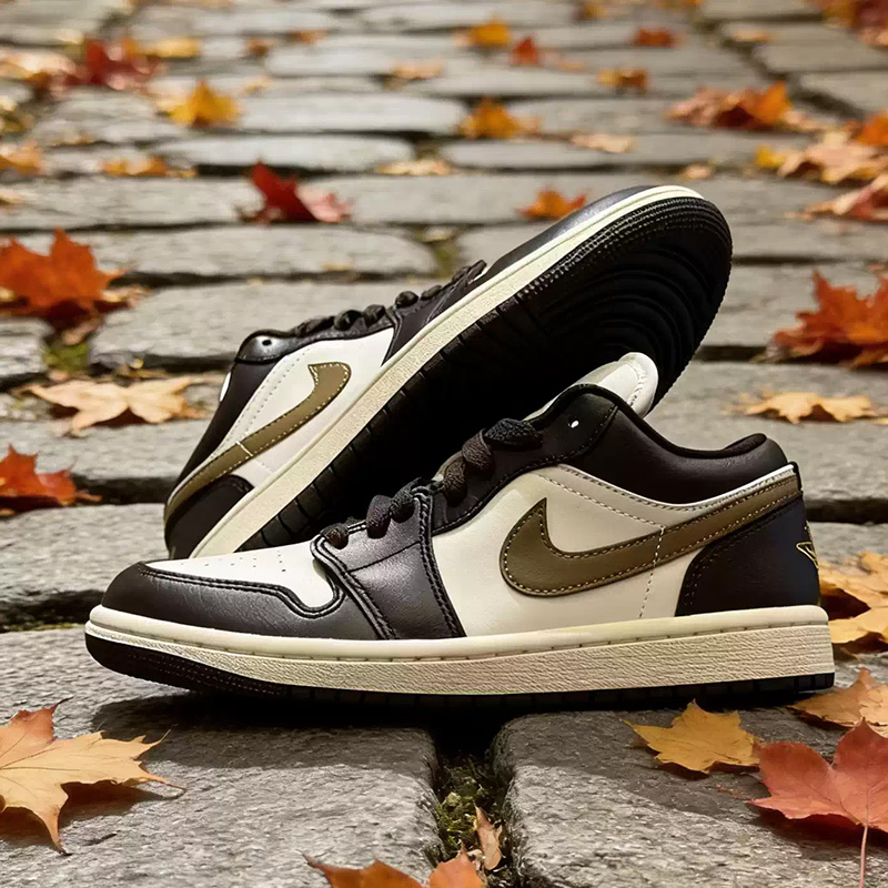 나이키 조던 에어 조던1 로우 화이트 브라운 골드 레트 - Women'S Shoes Nike Jordan 리뷰 및 가격